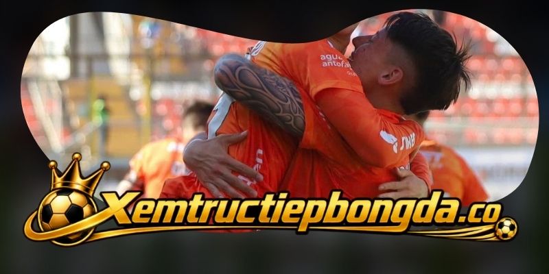 Gợi ý chốt kèo tổng hợp trận Coquimbo Unido vs Cobreloa ngày 08/10