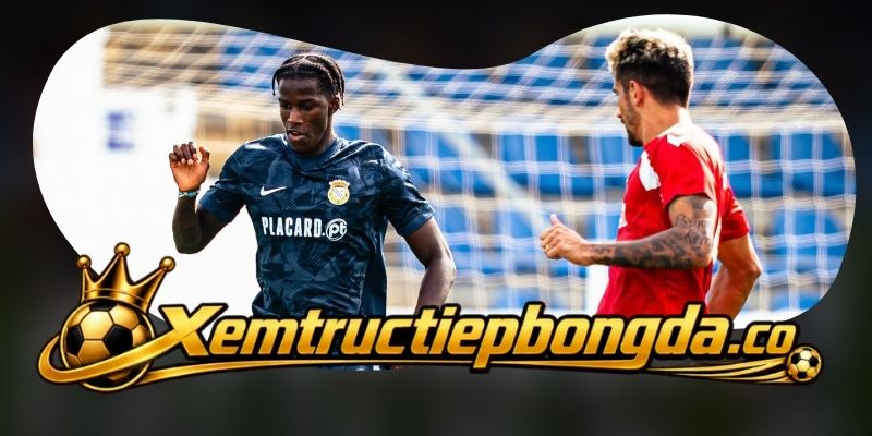 Gợi ý chốt kèo tổng hợp trận FC Famalicao vs Alverca ngày 13/10