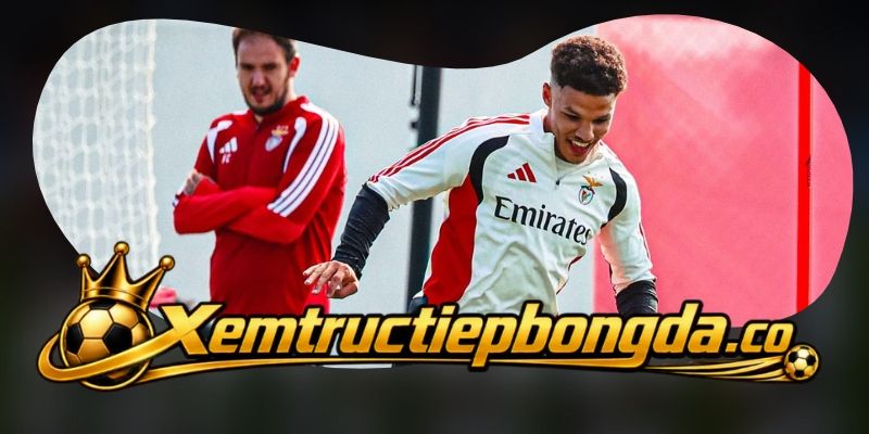Gợi ý chốt kèo tổng hợp trận Santa Clara vs Benfica ngày 27/10